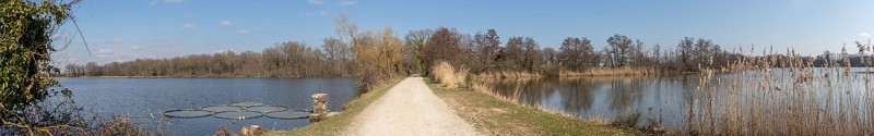 Vieux Jonc-Rundweg in St Paul de Varax