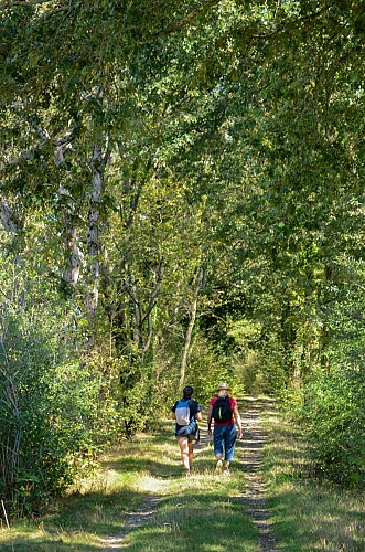 Rundweg der 11 Teiche in St Nizier le Désert