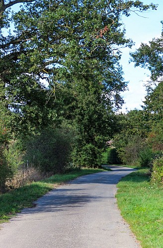 Rundweg der 11 Teiche in St Nizier le Désert