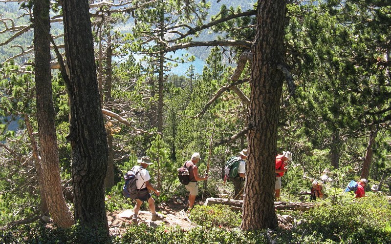 Les lacs du Néouvielle