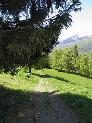 Children's hiking : The Chemin de la Pierra