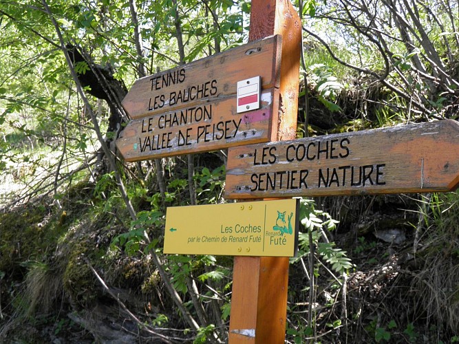 The Nature Trail