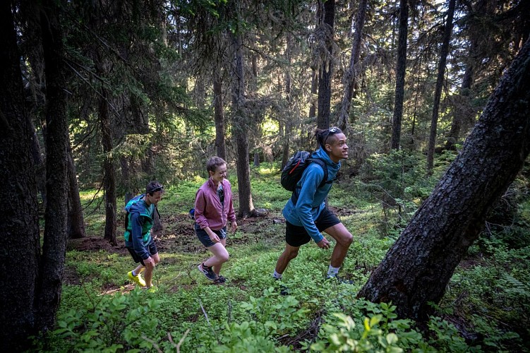 Balade en forêt