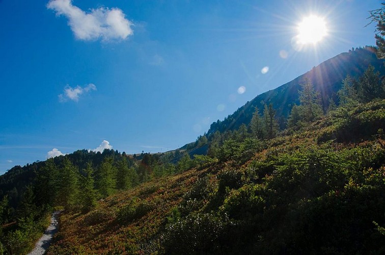 Sentier Mont Saint Jacques