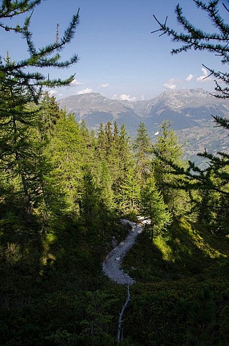 Sentier Mont Saint Jacques