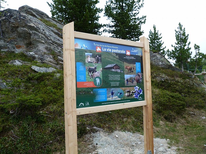 Panel explaining pastoral farming