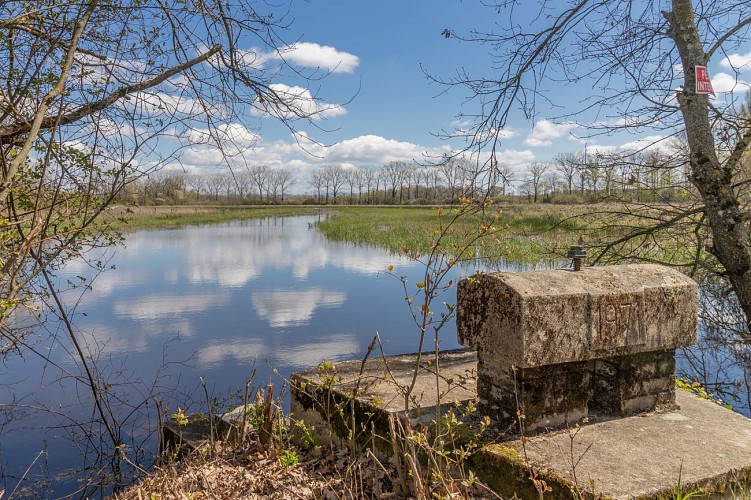 Rundgang durch den Espace Naturel Sensible du Grand Birieux in St Marcel