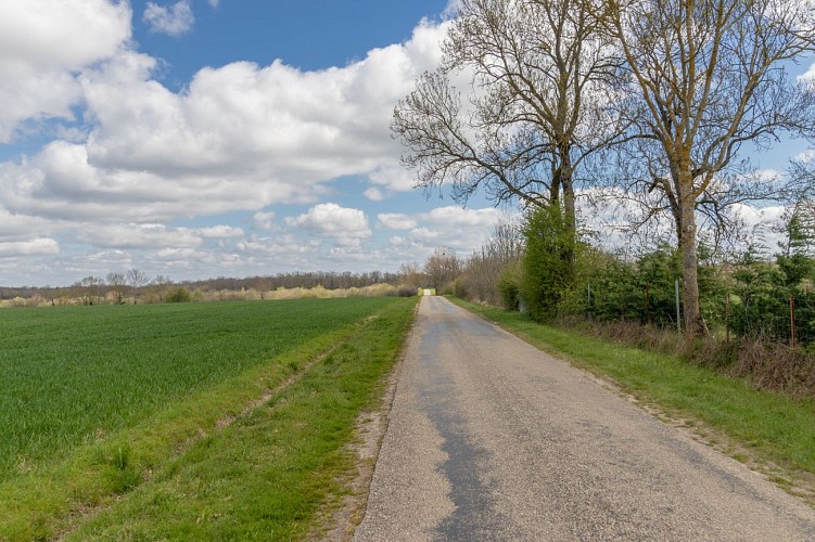 Rundgang durch den Espace Naturel Sensible du Grand Birieux in St Marcel