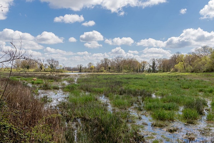 Rundgang durch den Espace Naturel Sensible du Grand Birieux in St Marcel