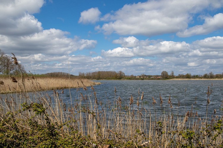 Rundgang durch den Espace Naturel Sensible du Grand Birieux in St Marcel