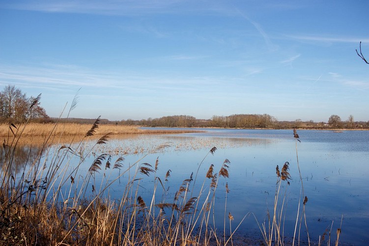 Rundgang durch den Espace Naturel Sensible du Grand Birieux in St Marcel