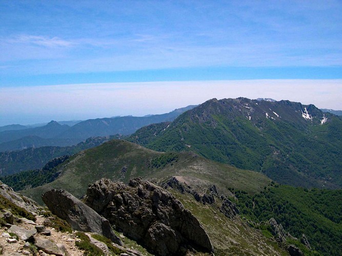 Corse- Région Fiumorbo- Col de Verde- Refuges Usciolu via Prati- Cozzano [mai 2006]