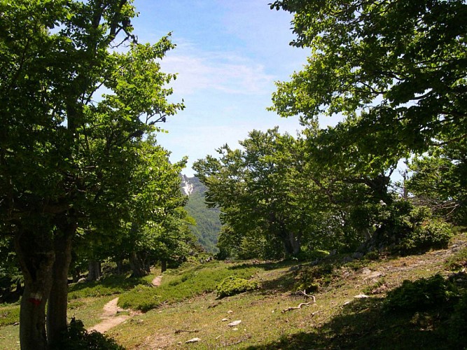 Corse- Région Fiumorbo- Col de Verde- Refuges Usciolu via Prati- Cozzano [mai 2006]