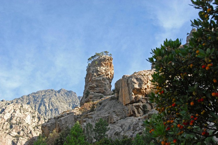Corse- Région Gravona- Glacier de Tanella et Punta Cancellone [Octobre 2009]