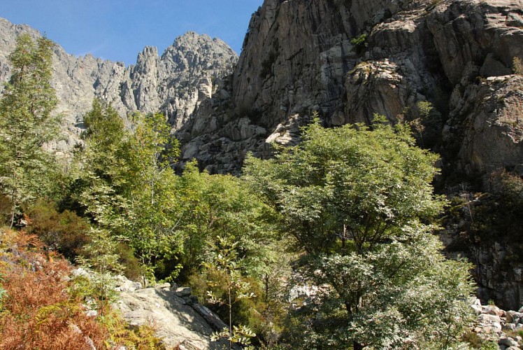 Corse- Région Gravona- Glacier de Tanella et Punta Cancellone [Octobre 2009]