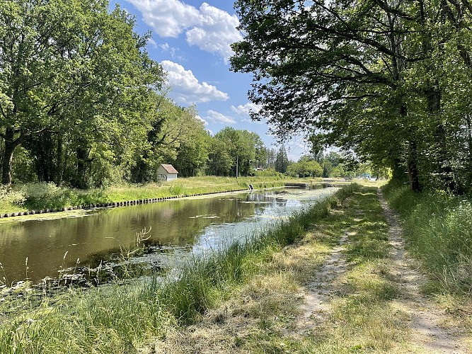 Canal d'Orléans