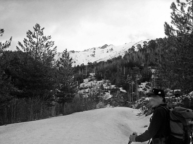 Corse- Région Niolo/Valdu Niellu- Bergeries de Chieni [Neige- Mars 2006]