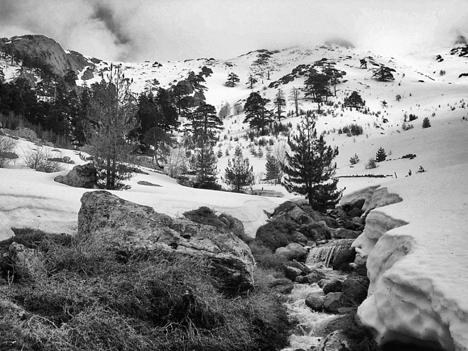 Corse- Région Niolo/Valdu Niellu- Bergeries de Chieni [Neige- Mars 2006]