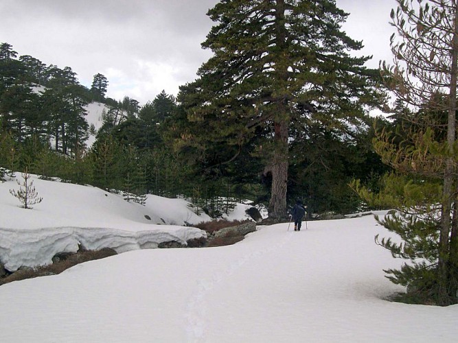 Corse- Région Niolo/Valdu Niellu- Bergeries de Chieni [Neige- Mars 2006]