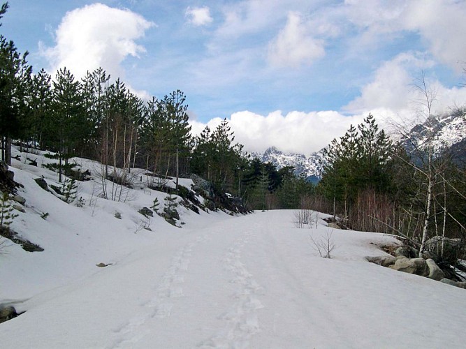 Corse- Région Niolo/Valdu Niellu- Bergeries de Chieni [Neige- Mars 2006]