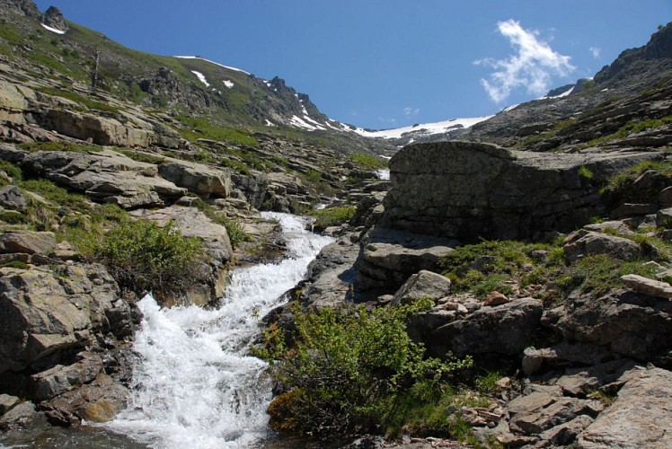 Corse- Région Niolo/Valdu Niellu- Lac de Lavigliolu- Berg. de Capanelle