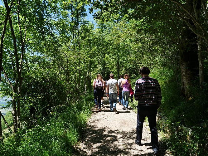 Sentier d'interprétation de Bellevue