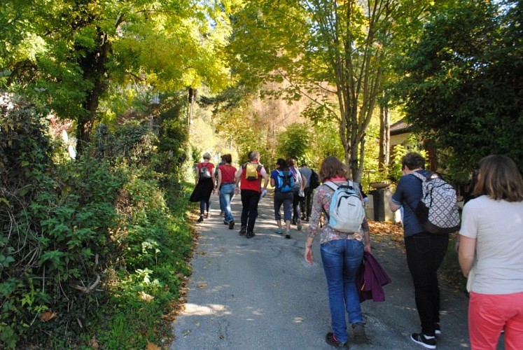 Chemin du Belvédère
