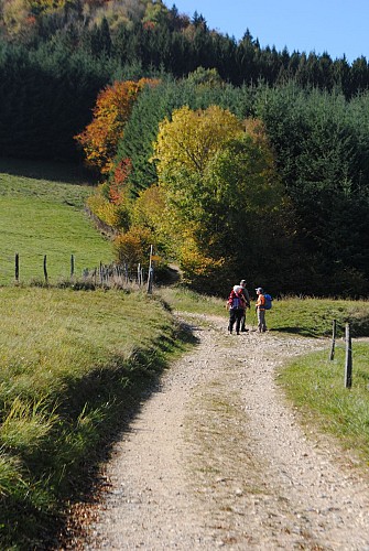 Rando etang chartreux