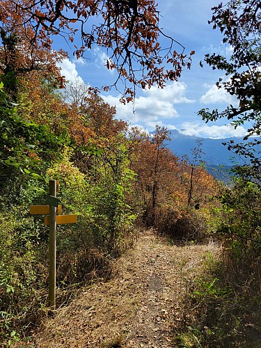 Panneau signalétique
