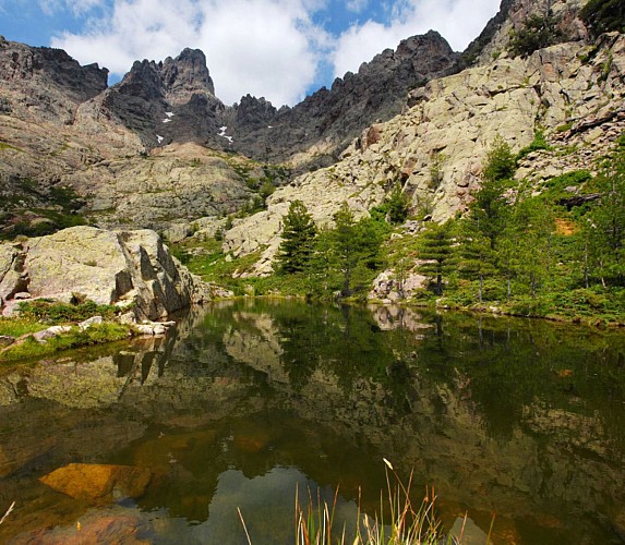 Corse- Région Niolo/Côté Gde Barrière- Mare de la Paglia Orba- Berg. de Ballone [juillet 2009]