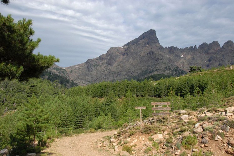 Corse- Région Niolo/Côté Gde Barrière- Mare de la Paglia Orba- Berg. de Ballone [juillet 2009]