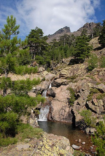 Corse- Région Niolo/Côté Gde Barrière- Mare de la Paglia Orba- Berg. de Ballone [juillet 2009]