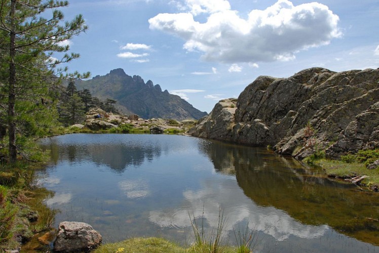 Corse- Région Niolo/Côté Gde Barrière- Mare de la Paglia Orba- Berg. de Ballone [juillet 2009]