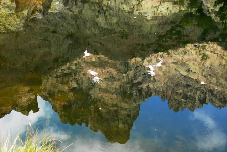 Corse- Région Niolo/Côté Gde Barrière- Mare de la Paglia Orba- Berg. de Ballone [juillet 2009]