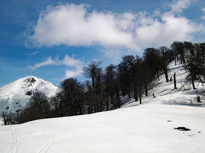 Corse- Région Niolo/Valdu Niellu-Vers Nino- Chemin de Ronde-Maison For. Poppaghia [neige- mars 2006]