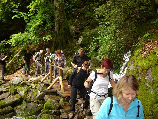 LA MAISON DU KLEEBACH À MUNSTER (68) LES SOURCES DU SAVOIR