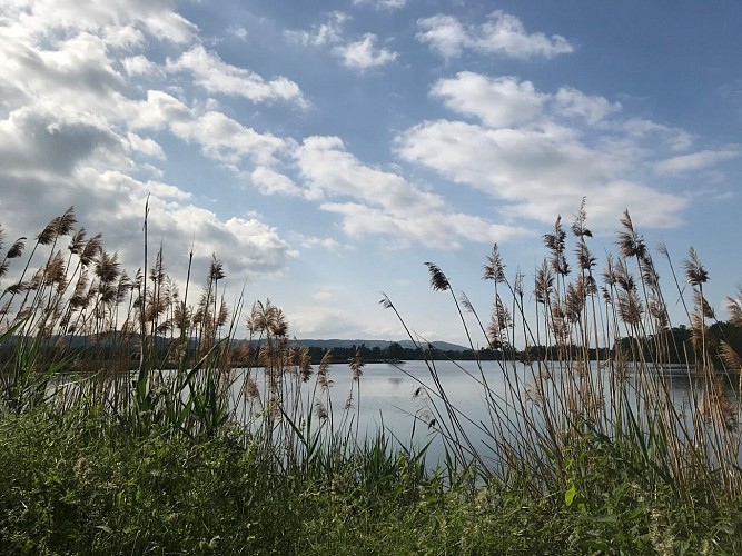 Boucle cyclable F7 : balade au fil de l'eau à vélo : Saint-Laurent-La-Conche / Etangs de Feurs