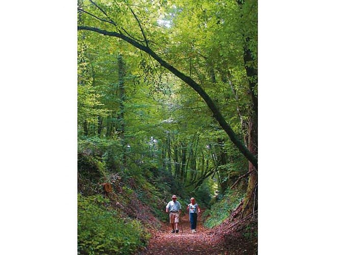 Circuit de Naboulièras