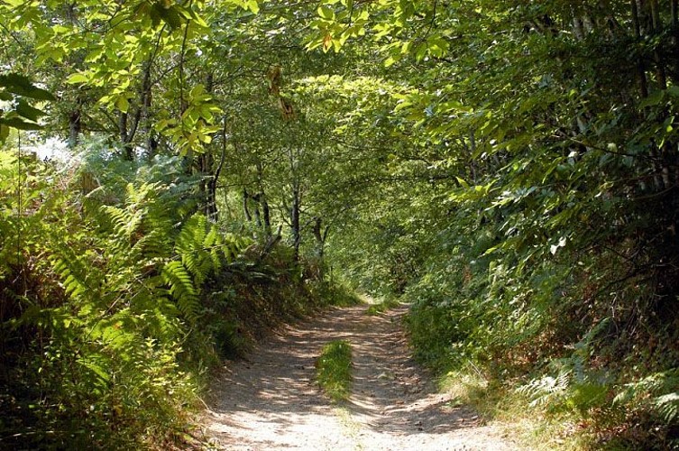 Circuit de Naboulièras_2