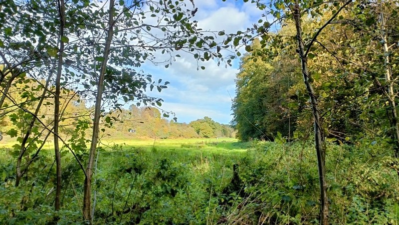 392879112_1080603983256534_8494044879015919725_n