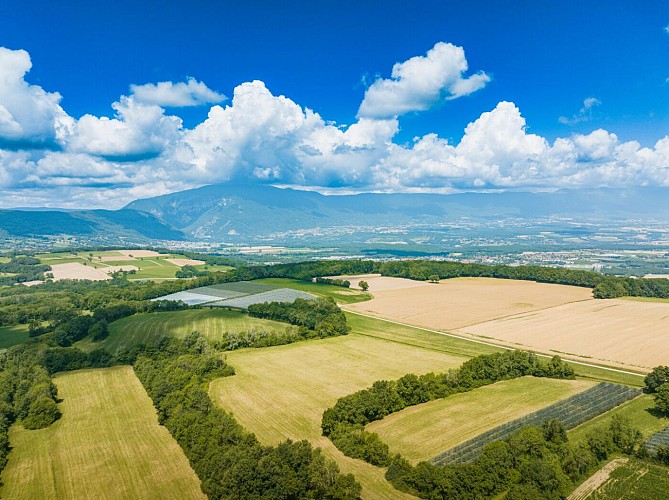 Ruta: Sentier des Morennes