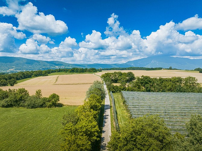 Ruta: Sentier des Morennes