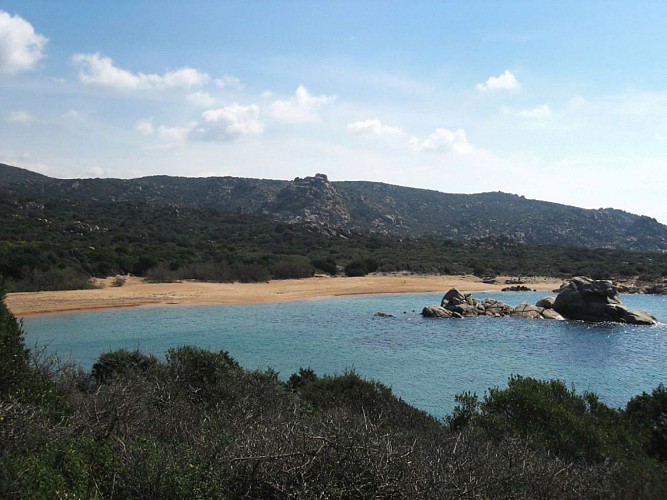 Corse- Région Sartenais/Proprianais- Chemin douanierde  Tizzano à Campo Moro