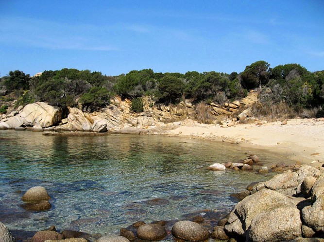 Corse- Région Sartenais/Proprianais- Chemin douanierde  Tizzano à Campo Moro