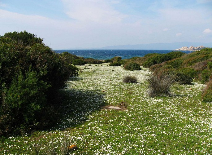 Corse- Région Sartenais/Proprianais- Chemin douanierde  Tizzano à Campo Moro