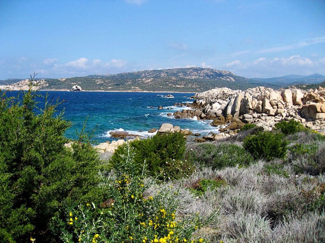 Corse- Région Sartenais/Proprianais- Chemin douanierde  Tizzano à Campo Moro