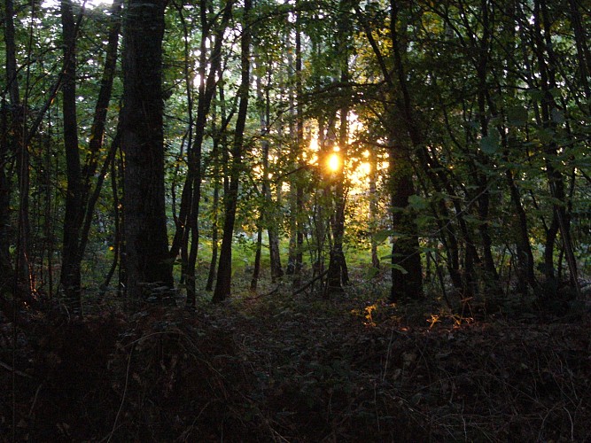 Randonnée à Mouettes