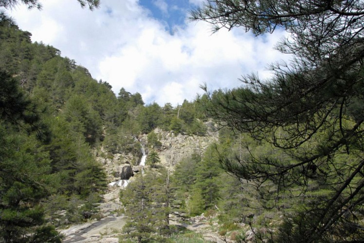 Corse- Région Vizzavona/Vallée Manganello- Étangs de Gialigatapiano [mai 2010]