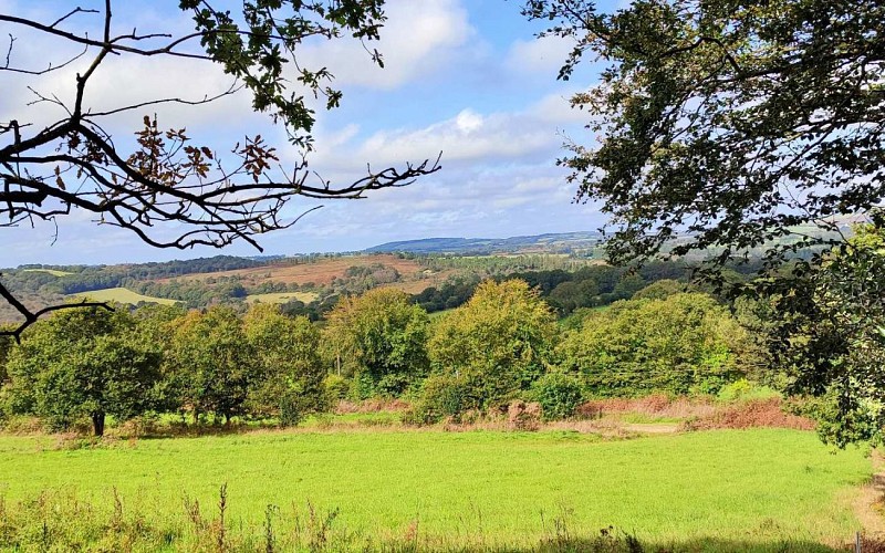 Vue sur la campagne