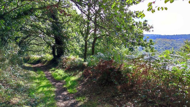 Descente dans la vallée